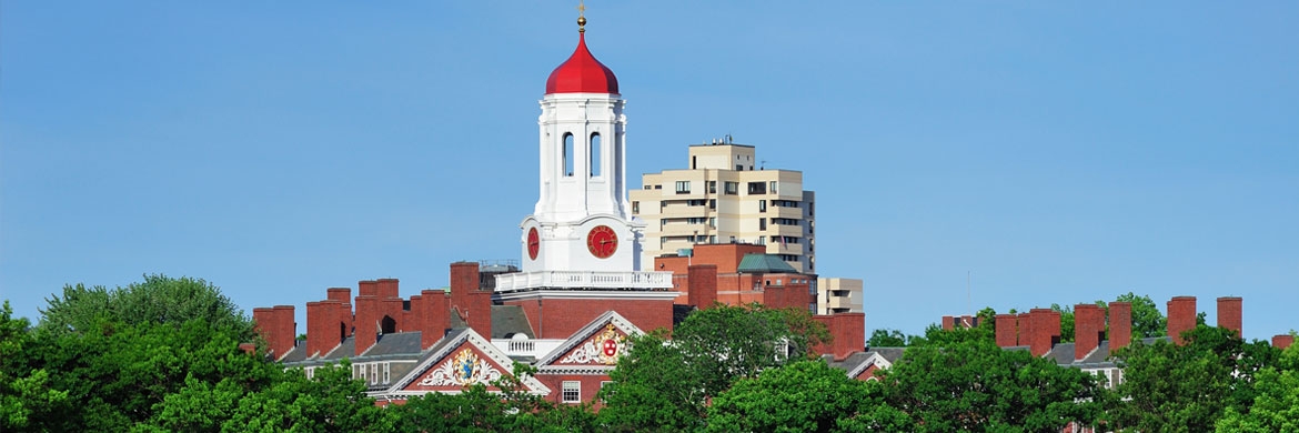 Harvard Campus with Bell Tower